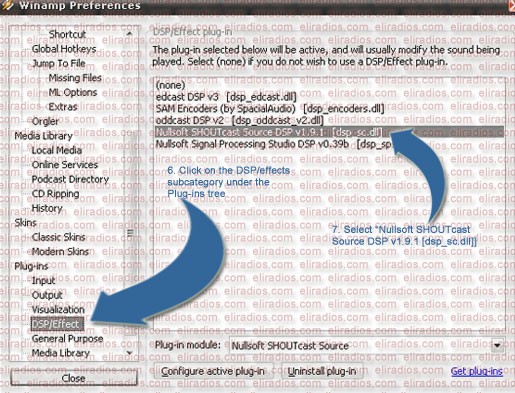 Winamp Preferences